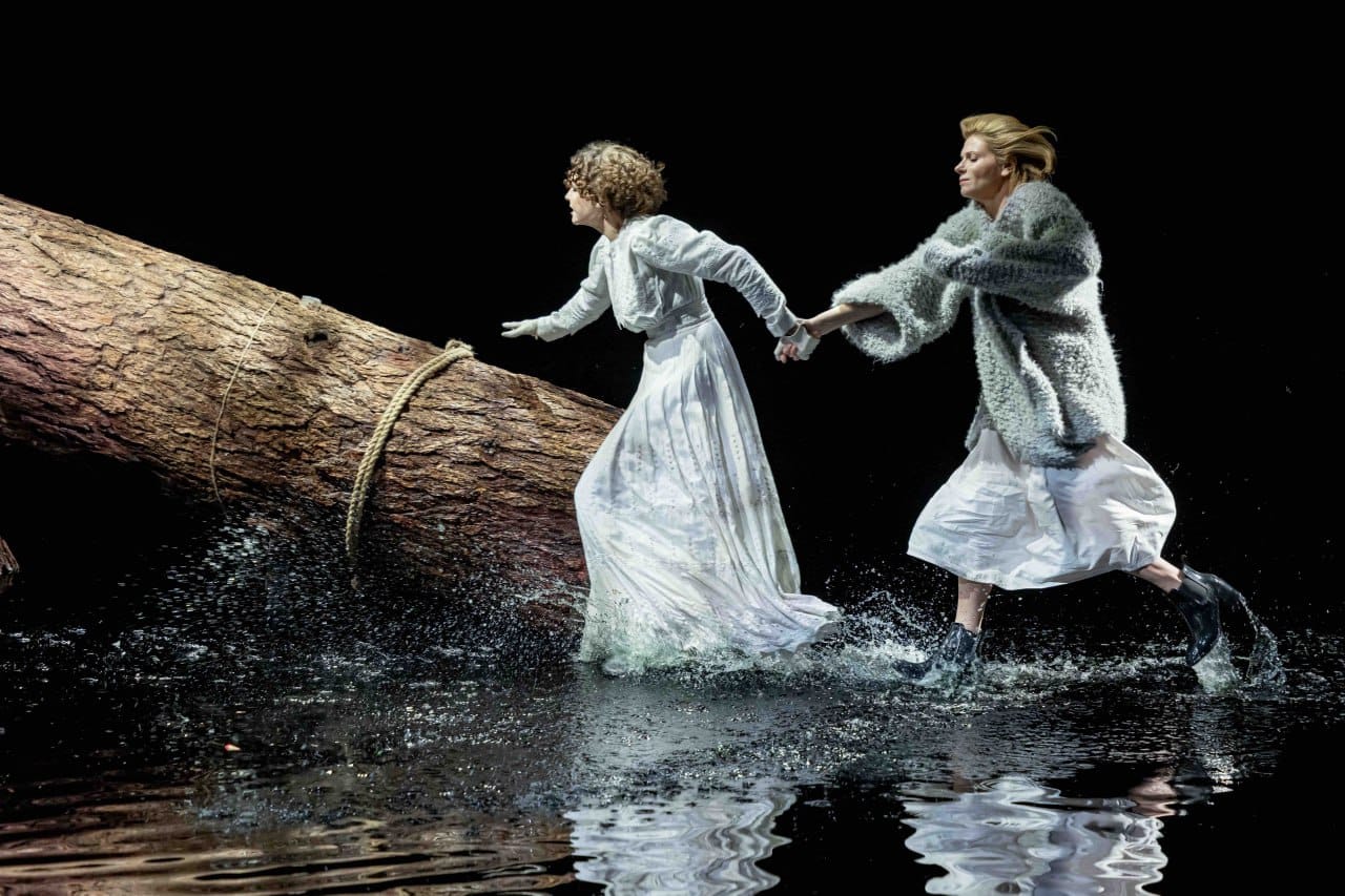 In Mayakovsky Theatre's new production of Ostrovsky's "The Forest", Raisa Pavlovna Gurmyzhskaya, a widow in her early fifties, and her friend the housekeeper Ulita are at last played not by 70- or 80-year-old grannies but by young, vivid women, Anna Ardov