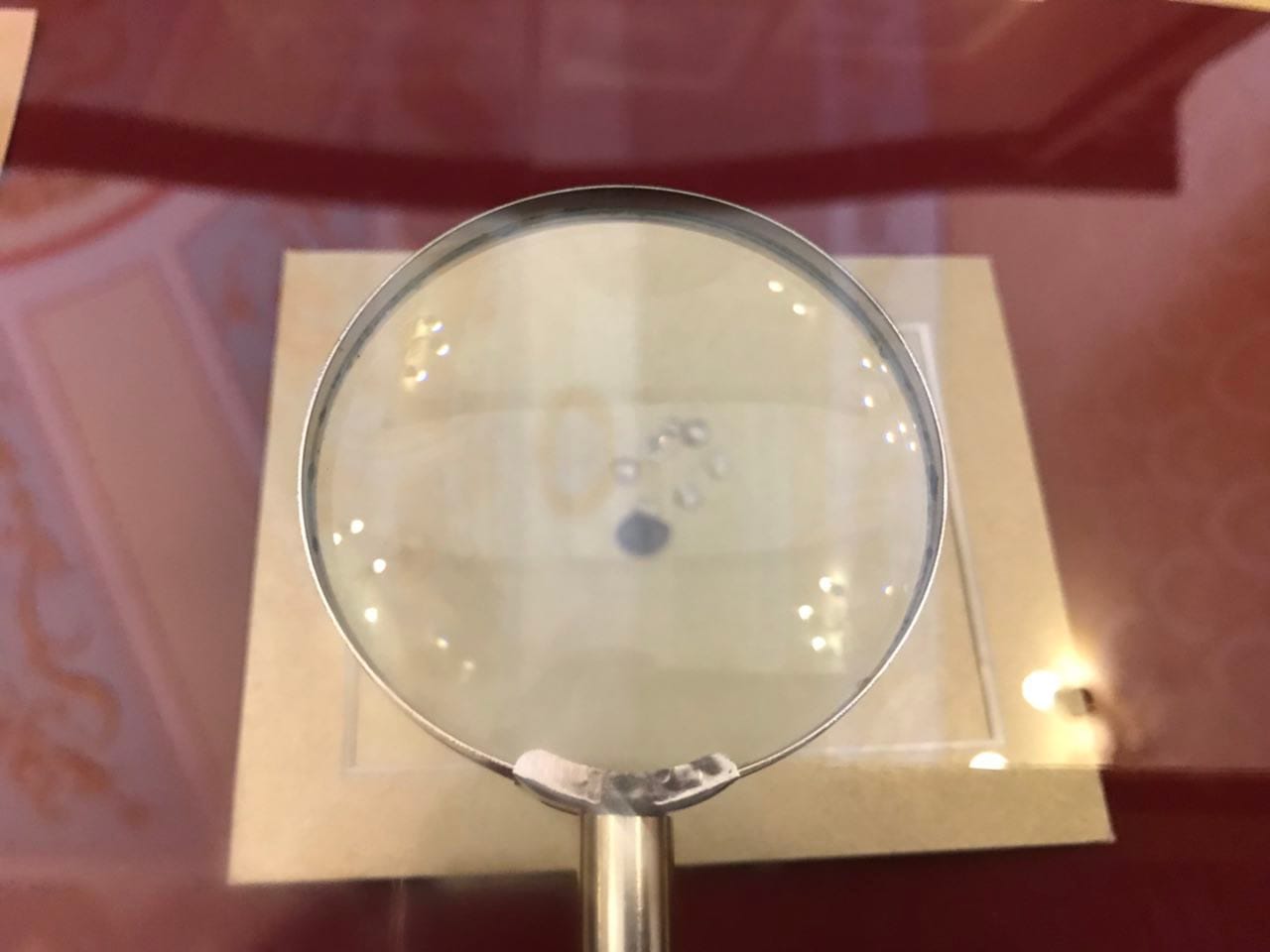 A magnifying glass over small diamonds and a dark stone on a beige mount under display glass.