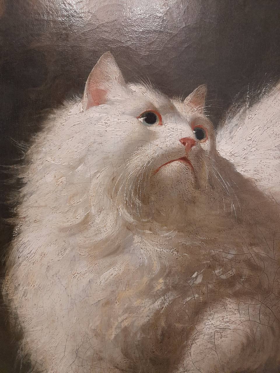 Detail of an oil painting with a cracked paint surface: a fluffy white cat looks upward against a dark background.