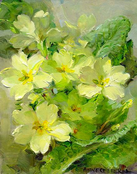 Primevères, Anna Coterill (1933-2010)