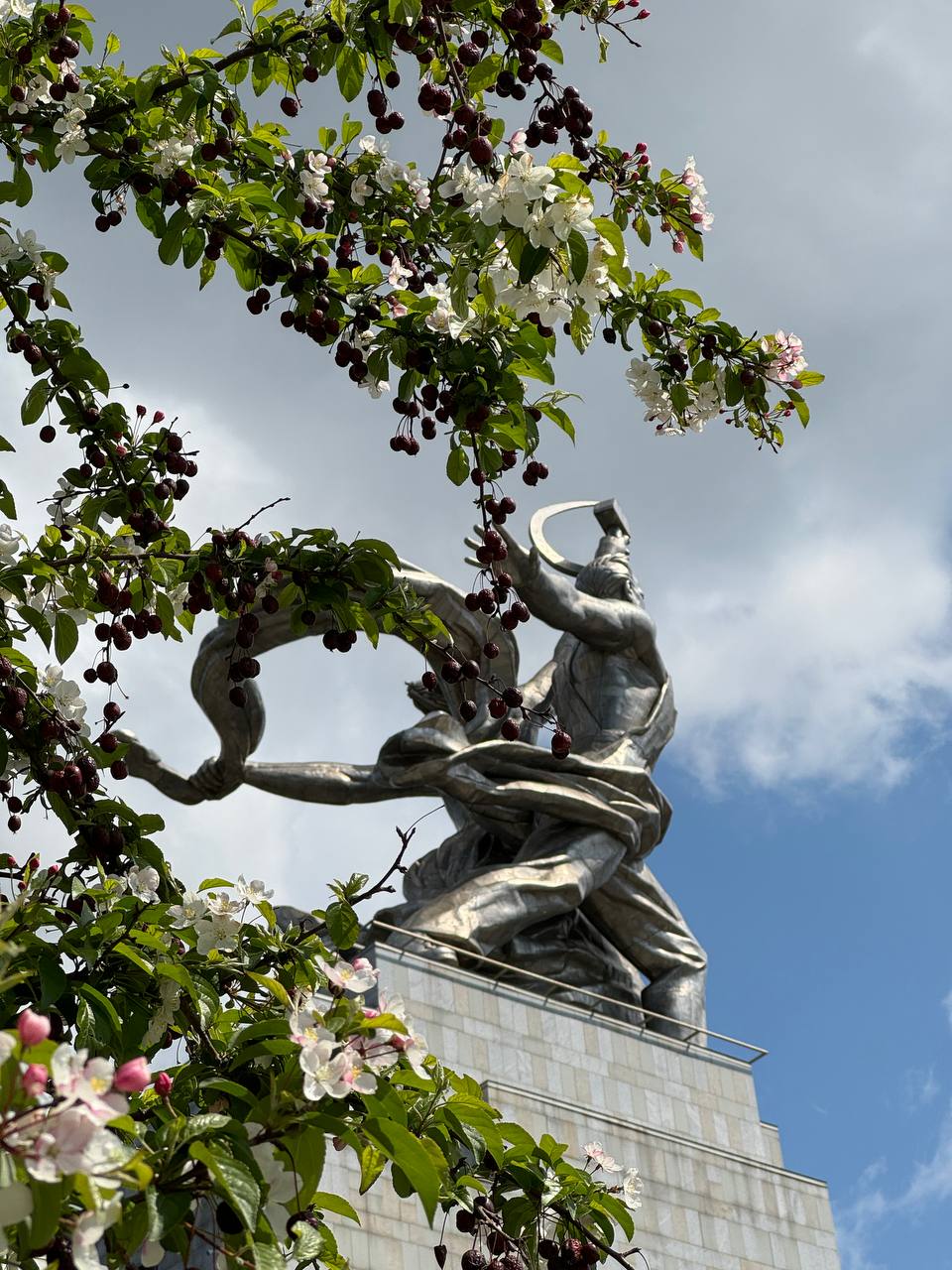A metal sculpture with a raised sickle and hammer on a stone pedestal, seen through a flowering apple branch with small fruits.
