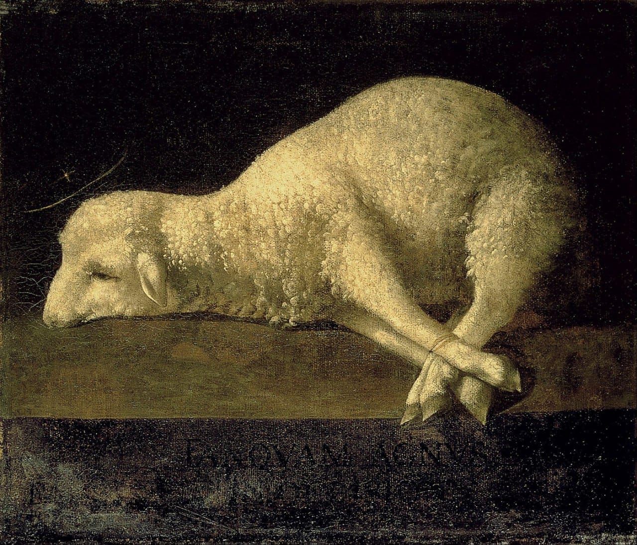 A white lamb with bound legs lies on a stone slab against a dark background, a faint thin halo above its head.