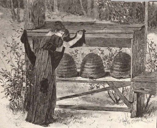 Coutume anglaise d'annoncer aux abeilles les nouvelles de famille et de mettre les ruches en deuil