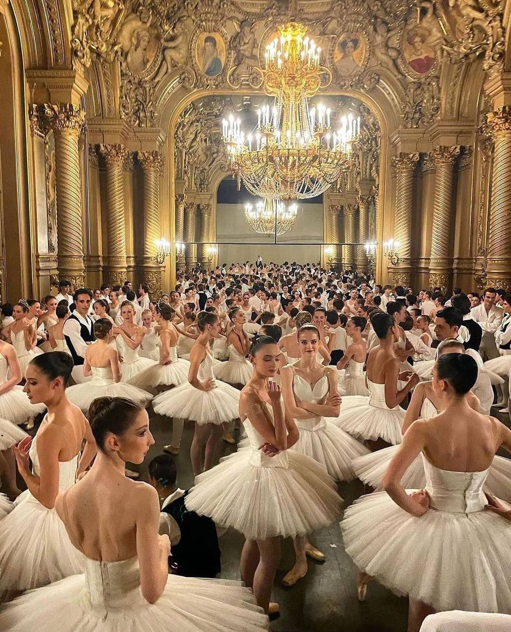 What an Overwhelming Concentration of Beauty Looks Like