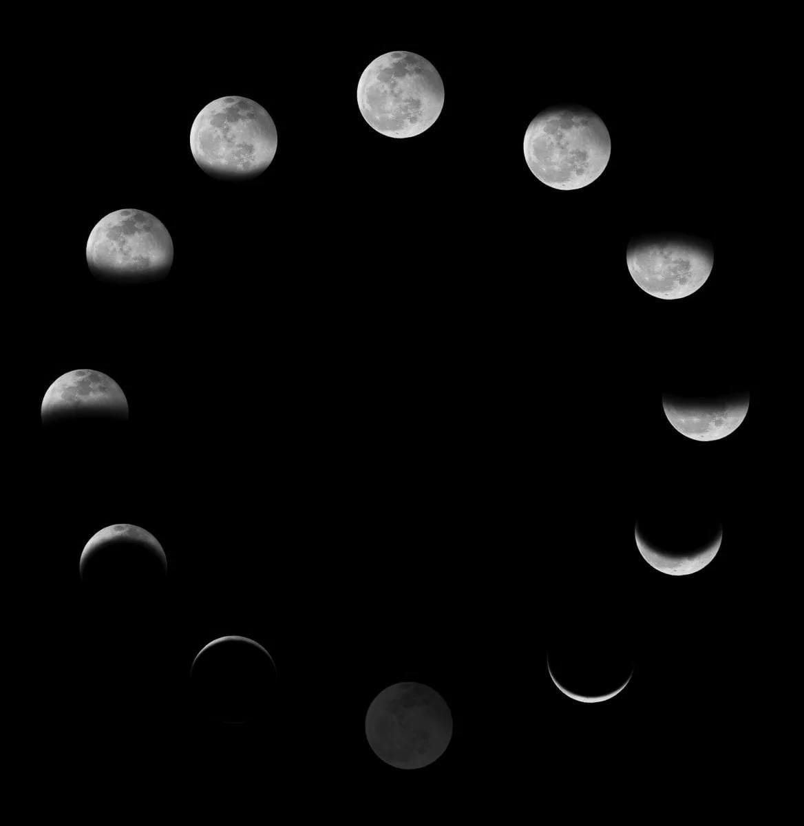 Douze images de la Lune en cercle, du disque sombre en bas aux fins croissants, puis aux quartiers, jusqu'à la pleine lune en haut. Noir et blanc.