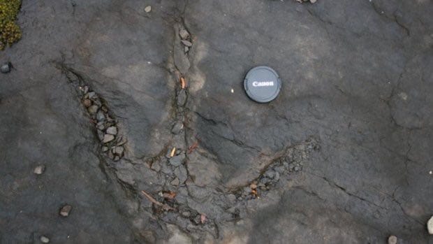 Les traces du géant