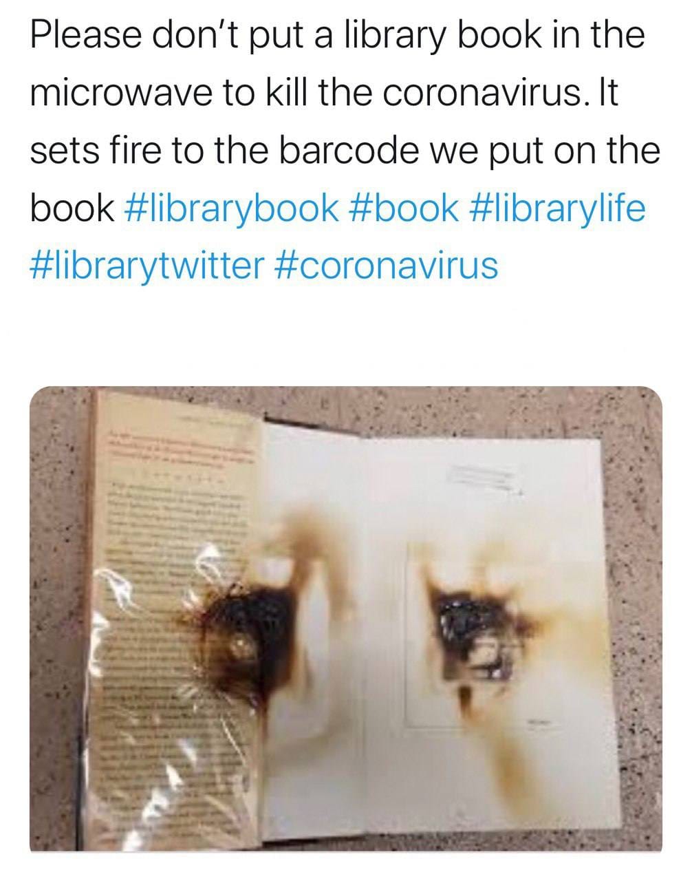 An open book with scorched dark patches on the endpaper and the facing page.