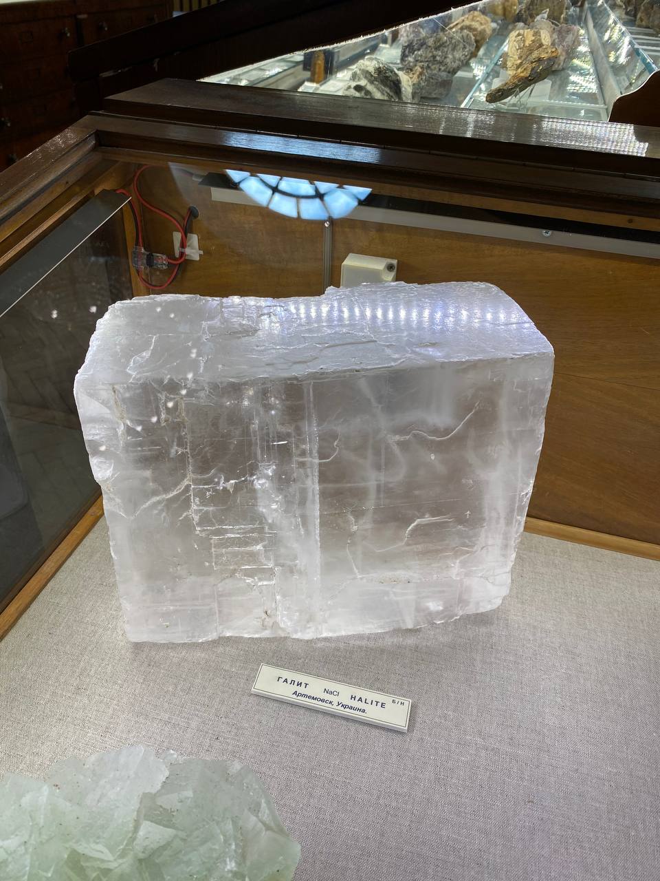 Un grand bloc transparent d'halite (NaCl) dans une vitrine de musée. L'étiquette indique « Halite, Artemovsk, Ukraine » ; d'autres minéraux sont visibles derrière.