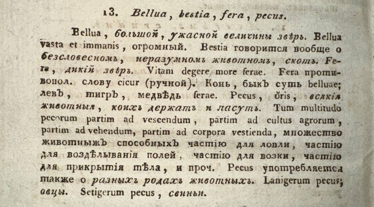 If bellua is some very large beast, then bestia is any dumb, unreasoning animal, fera a wild beast, and pecus, ǒris any animals kept by humans
