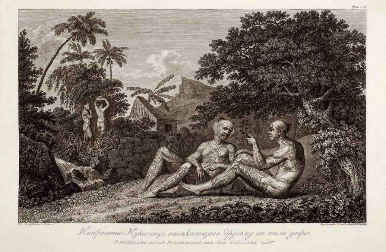 Engravings after drawings by Wilhelm Gottlieb Tilesius von Tilenau