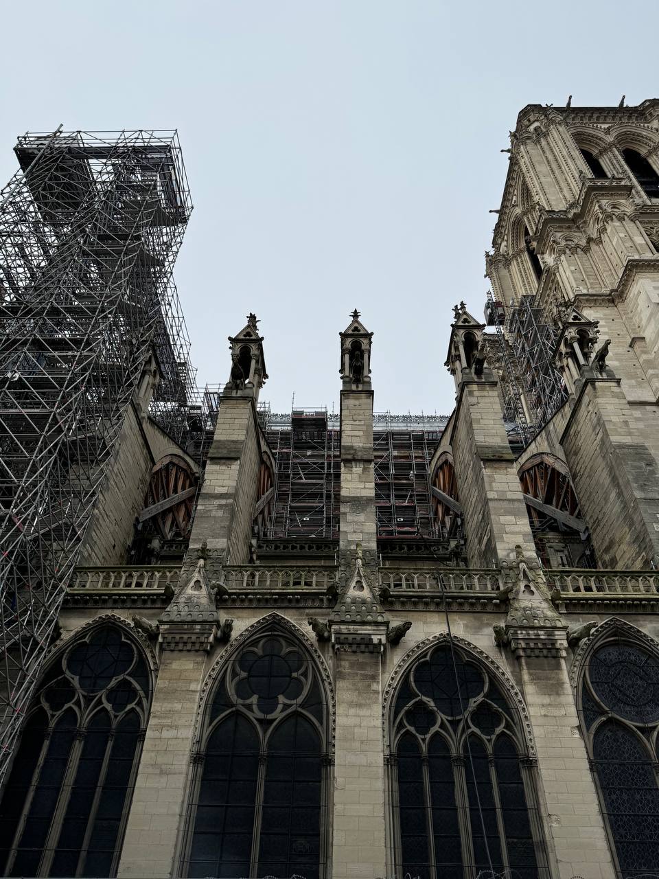 Notre-Dame, la bien-aimée, encore vêtue de son échafaudage