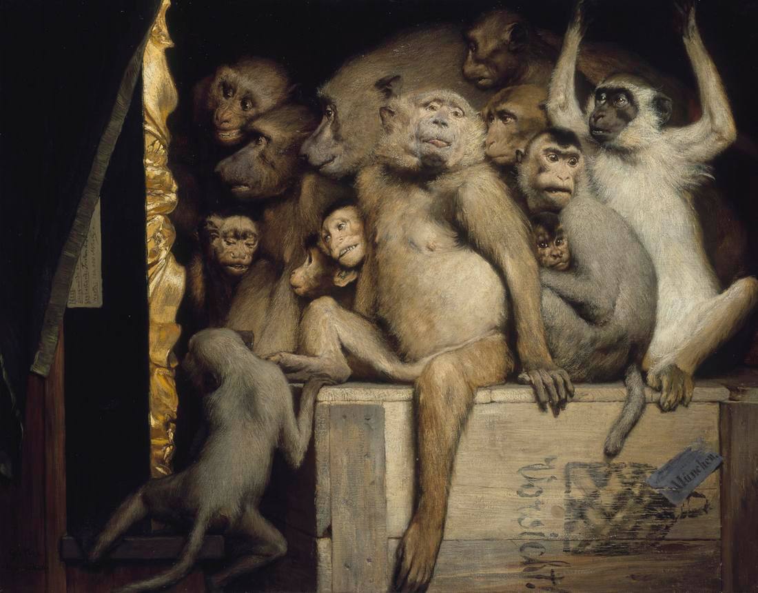A group of monkeys sits on a wooden crate beside a curtain, all looking the same way, one raising its arms.