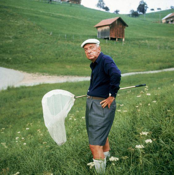 Vladimir Nabokov à la chasse aux papillons