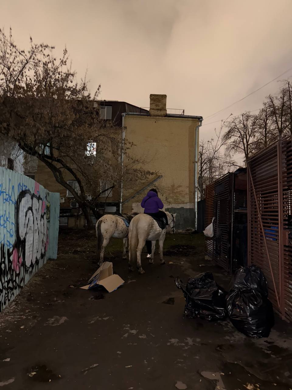 In the Courtyards of Pokrovka, Somebody's Prince on a White Horse Has Lost His Way