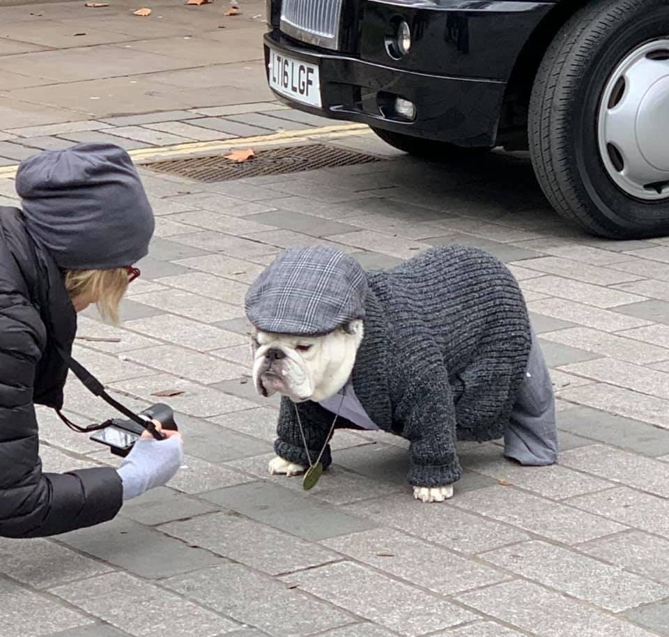 I cannot decide whether this bulldog in a gentleman's suit wounds my feelings for Churchill or, on the contrary, gladdens the soul