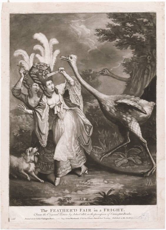 Black-and-white print: two frightened ladies with tall coiffures and ostrich plumes flee from an ostrich while a dog barks beside them.