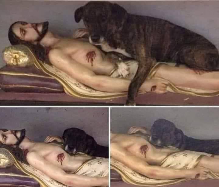 Trois photos d'une figure polychrome du Christ allongé, avec ses plaies, sur laquelle est couché un chien tigré sombre.