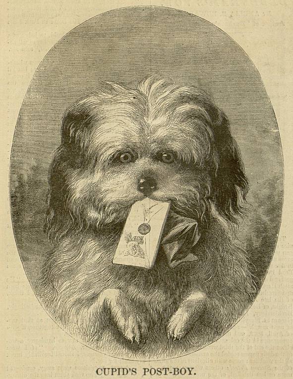 Harper’s Bazar, 19 February 1870
