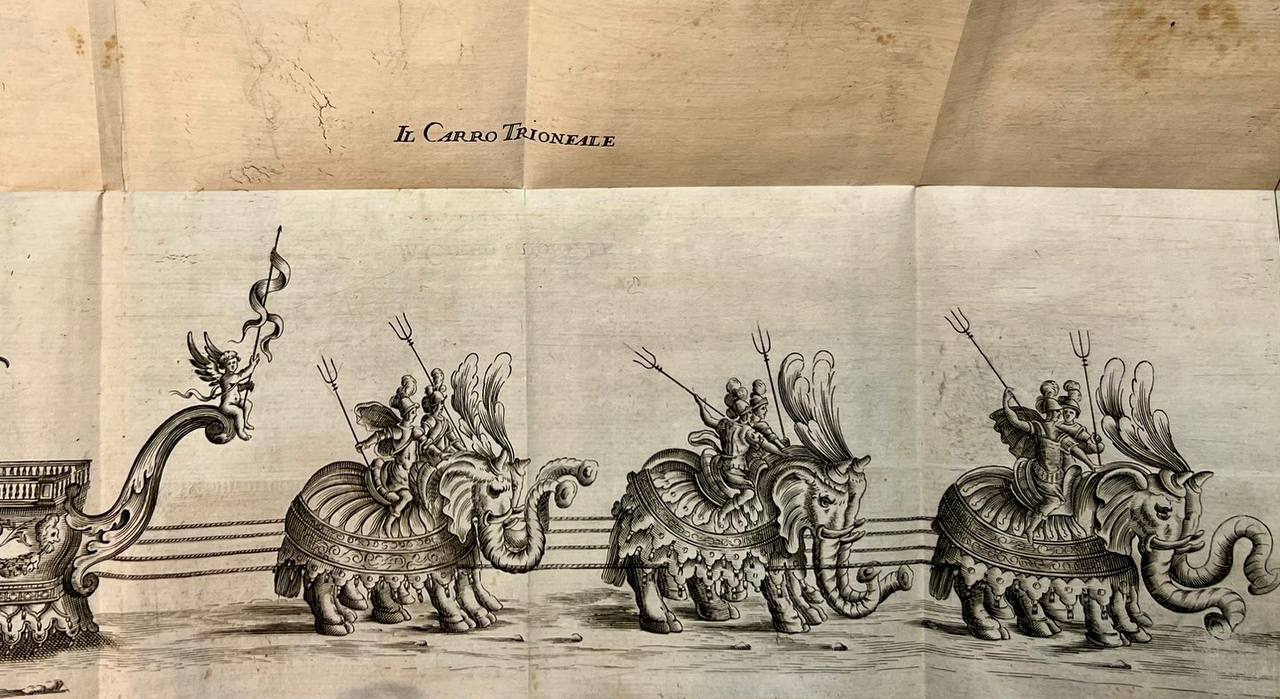 Hansken and other known elephants in Europe, and doubts over six elephants in Mantua