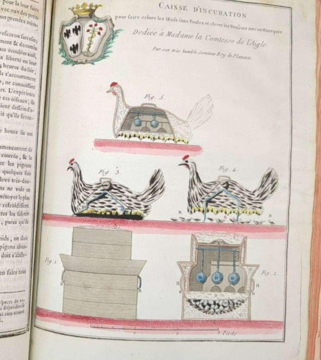 Gravure coloriée « Caisse d'incubation » : caisse d'incubation en coupe et en forme de poules couveuses, avec des armoiries couronnées en haut.