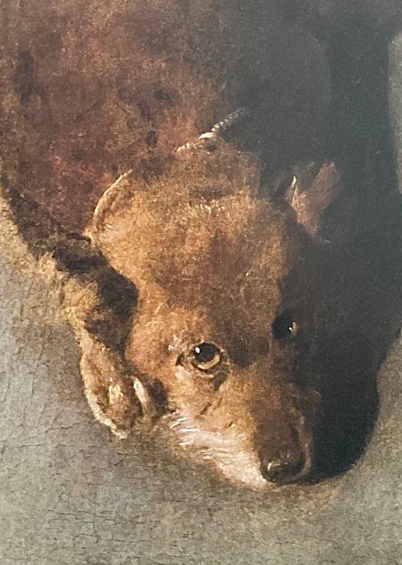 It seems that the dog with the human gaze, from Georges de La Tour's portrait of an old man in the Berg Museum, deserves a portrait of its own