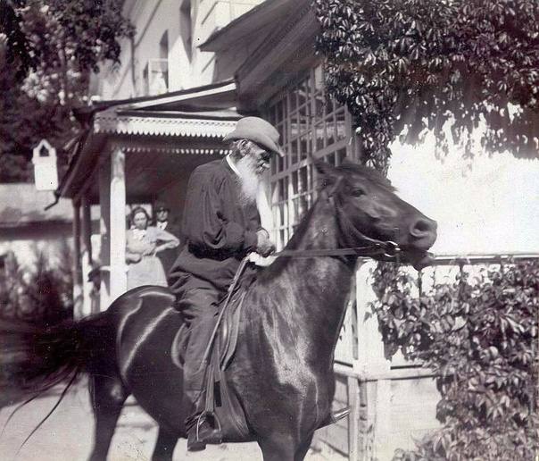 “The yearling fillies pretend to be grown up and staid, and only rarely do they skip about or join the merry companies