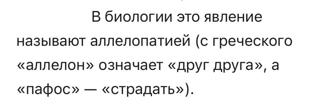 Ал әдебиетте мұны романтикалық сүйіспеншілік деп атайды