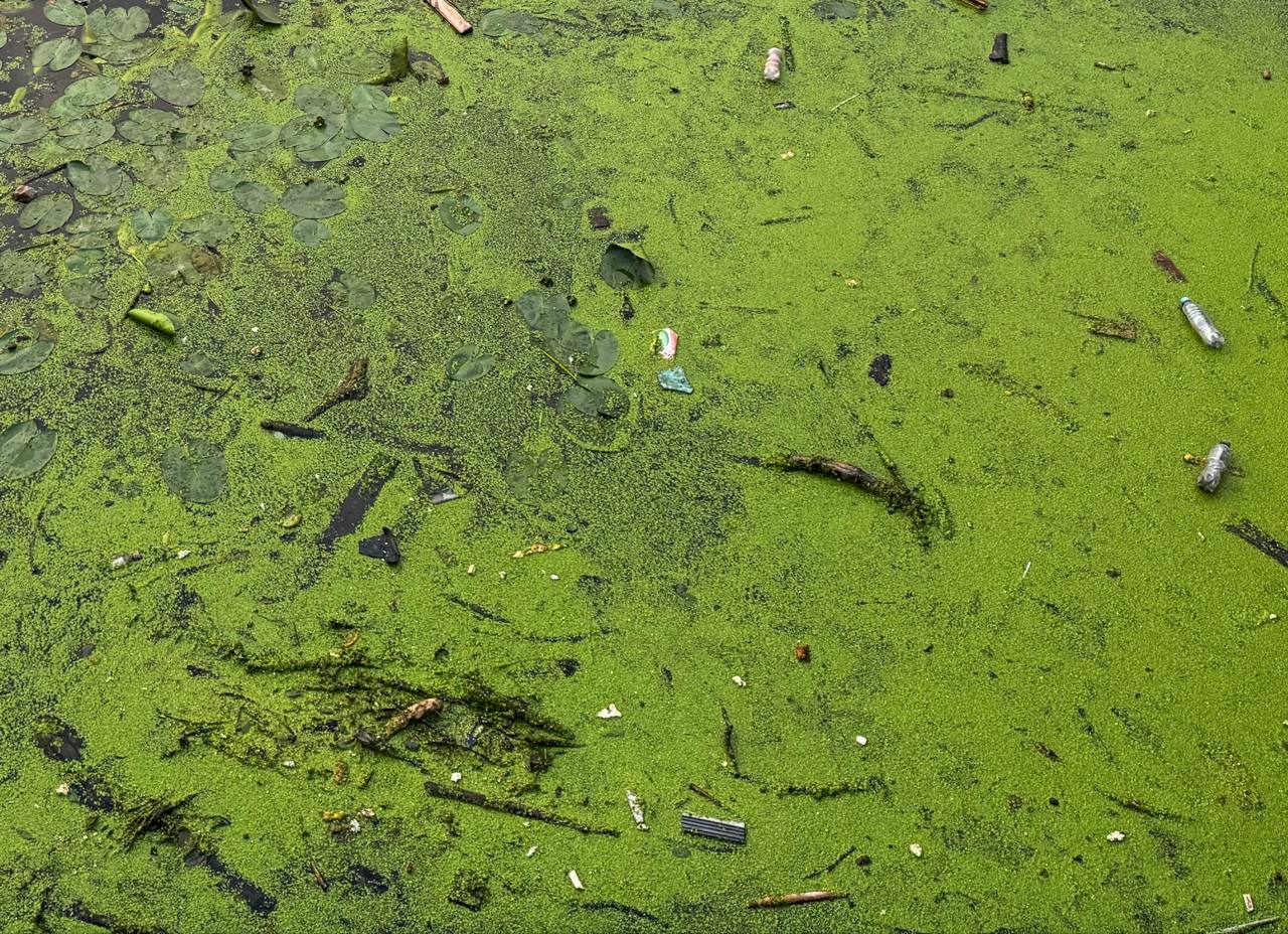Muscovites Have Grown So Pampered That They Have Filled the Drainage Canal with Matches
