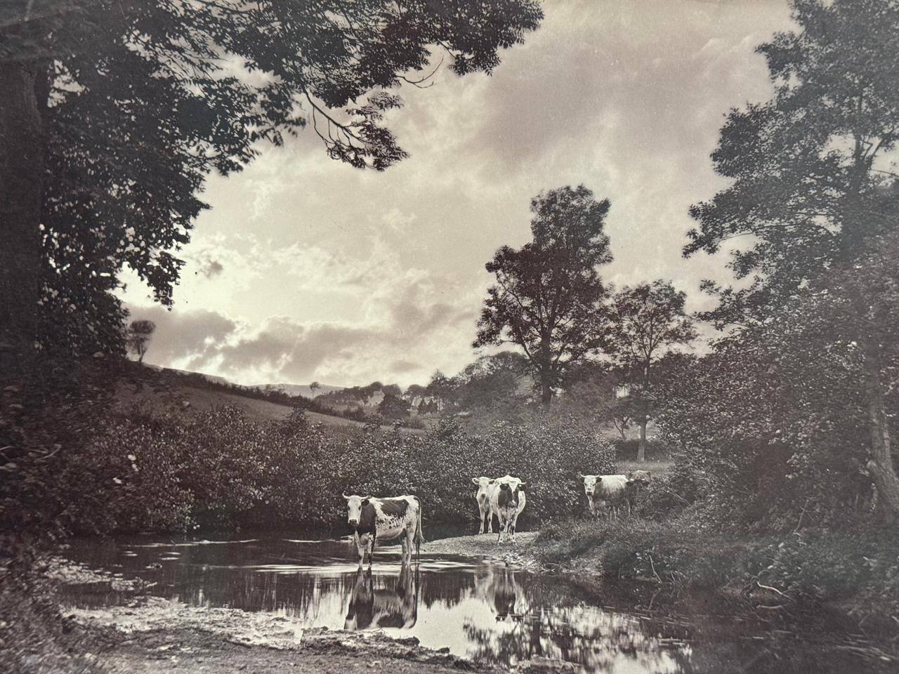 The Béton Centre for Visual Culture Announces a New Project: "Masterpieces of Early Photography"