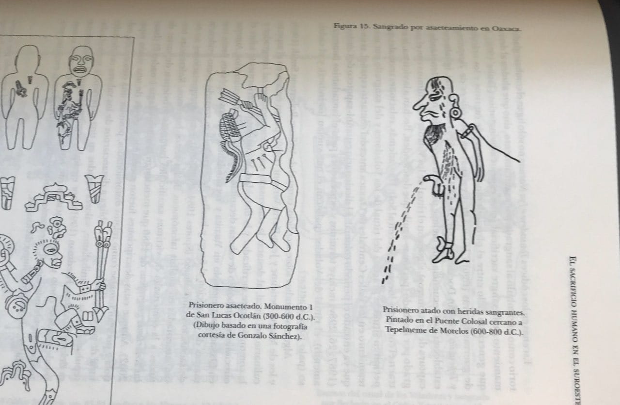 Il n'existe que deux types de captifs