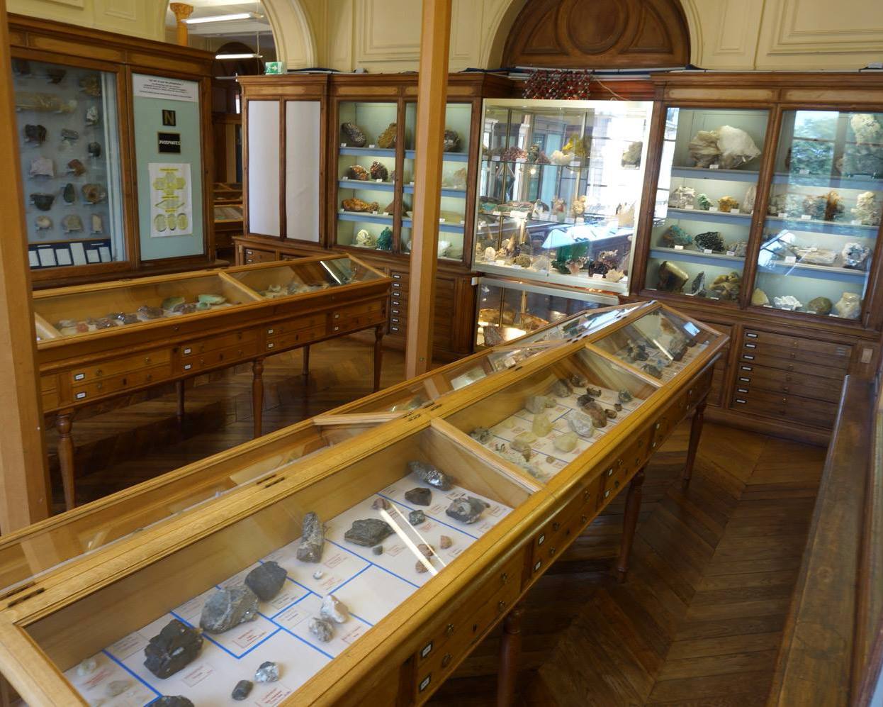 Salle de musée aux vitrines en bois présentant des minéraux étiquetés, dans des vitrines-tables et de hautes armoires. Le sol est en parquet à chevrons.
