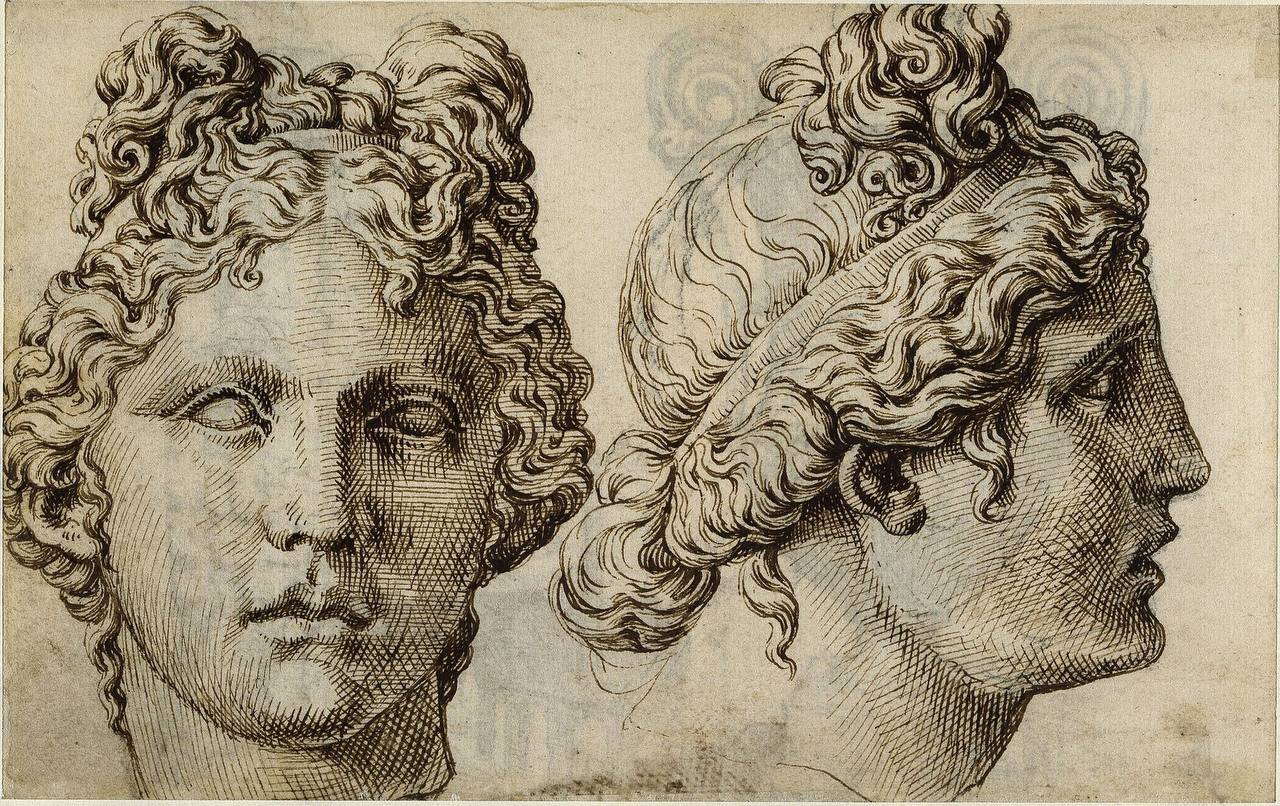 Head of the Apollo Belvedere