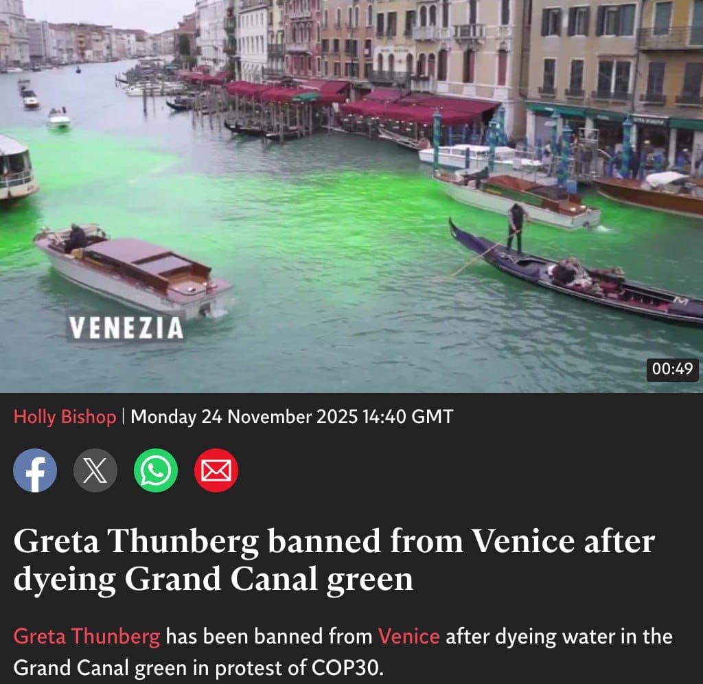 Greta Thunberg Banned from Venice for 48 Hours After Dyeing the Water of the Grand Canal Green