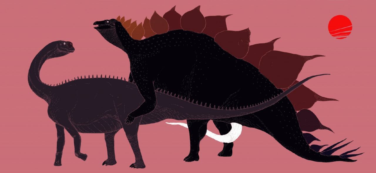 "But Are You Quite Sure You're a Diracodon?"