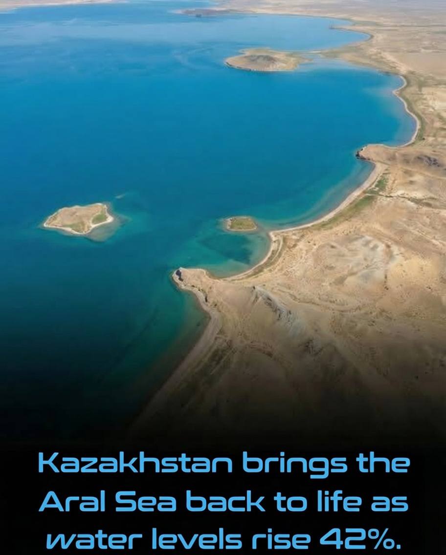 Je tiens à exprimer au gouvernement du Kazakhstan ma profonde reconnaissance : la mer d'Aral du Nord renaît, et son volume a augmenté de 42 %, un chiffre impressionnant !