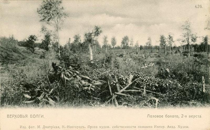 Максим Дмитриев 1900-жылдары Еділ өзенінің бастауына жақ жерде түсірген суреттер
