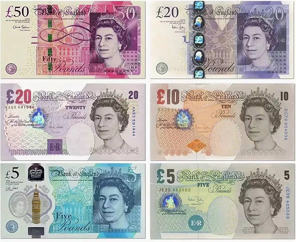 The Bank of England will use images of wildlife on its new banknotes, fearing division among the public