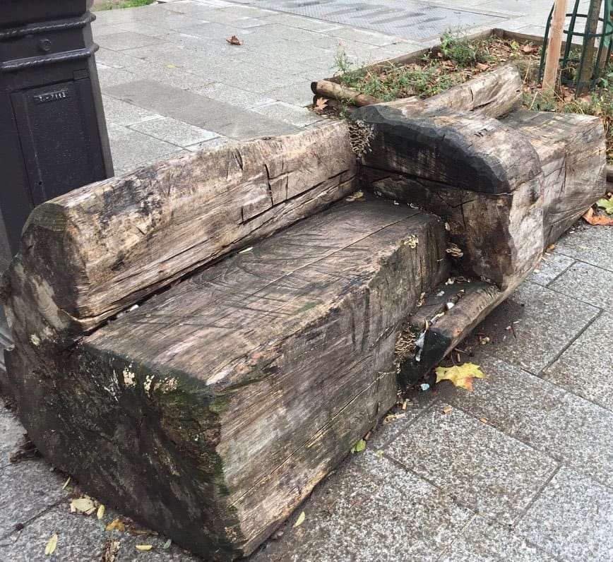 Un banc patiné, taillé dans un énorme tronc, se dresse sur un trottoir pavé près d'un poteau en fonte et d'une jardinière. Des feuilles d'automne jonchent le sol.