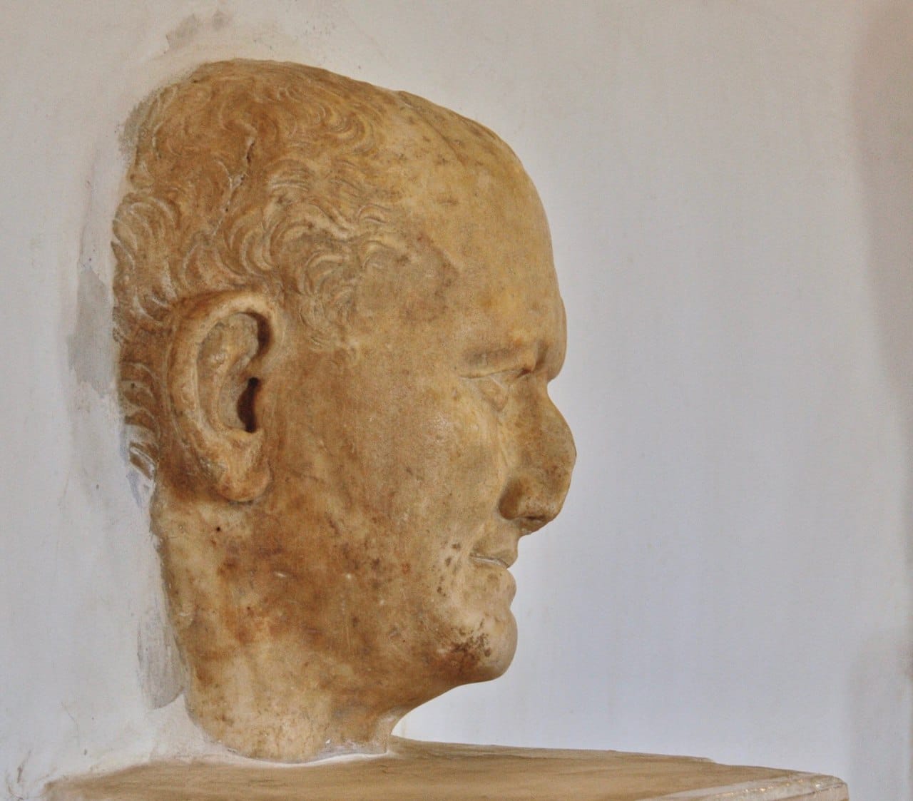 Marble head of Emperor Vespasian in profile, with short wavy hair, on a stone base against a white wall.