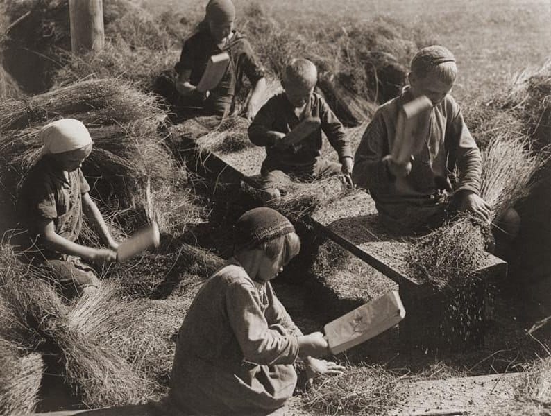 La récolte des graines de lin à Kimry dans les années 1930, photographie de Leonid Chokine