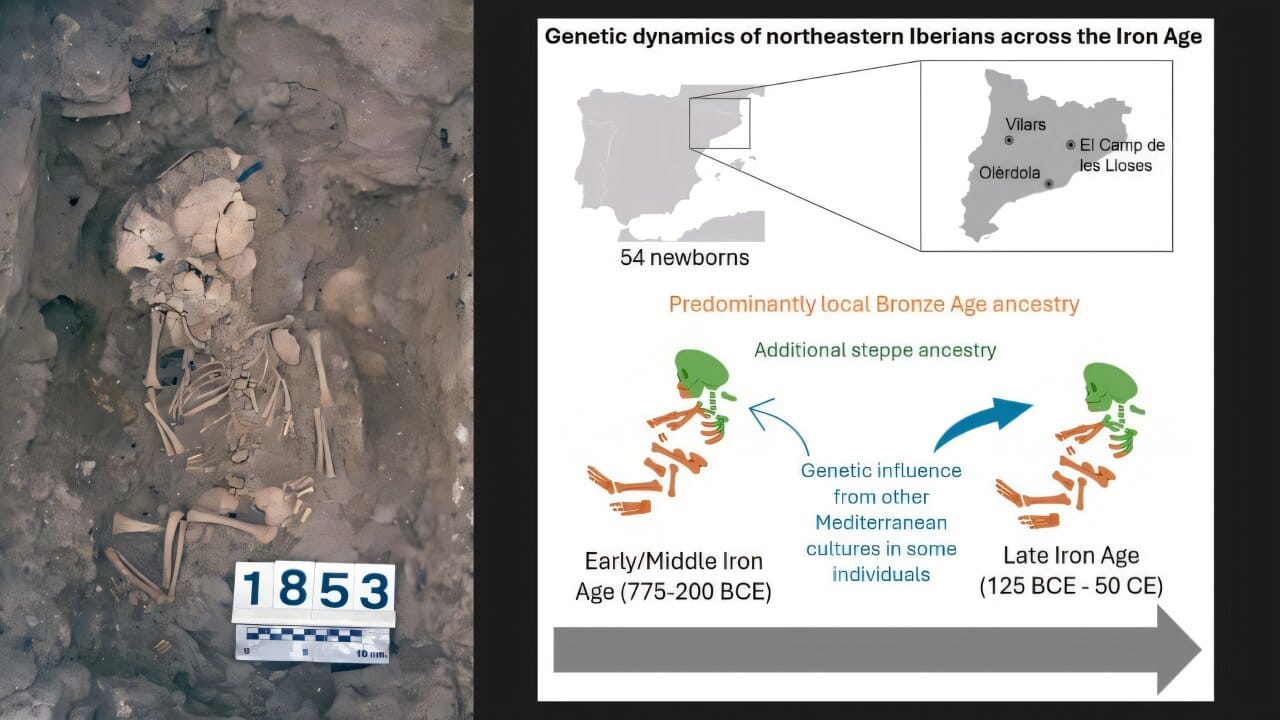 Palaeogeneticists from the Autonomous University of Barcelona have studied the genomes of 54 Iron Age infants from the north-east of the Iberian Peninsula