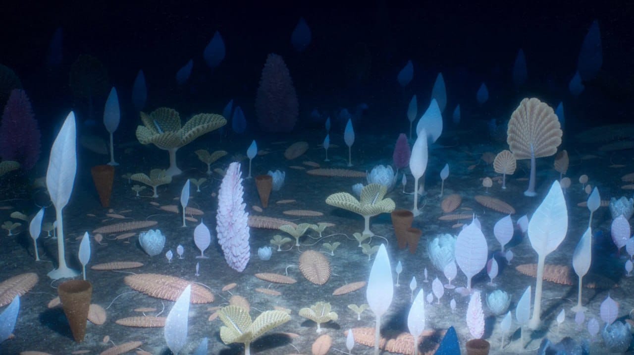 The first animals are thought to have appeared in the Ediacaran, some 635 to 539 million years ago, but then came millions of years of calm, until a sudden diversity burst forth