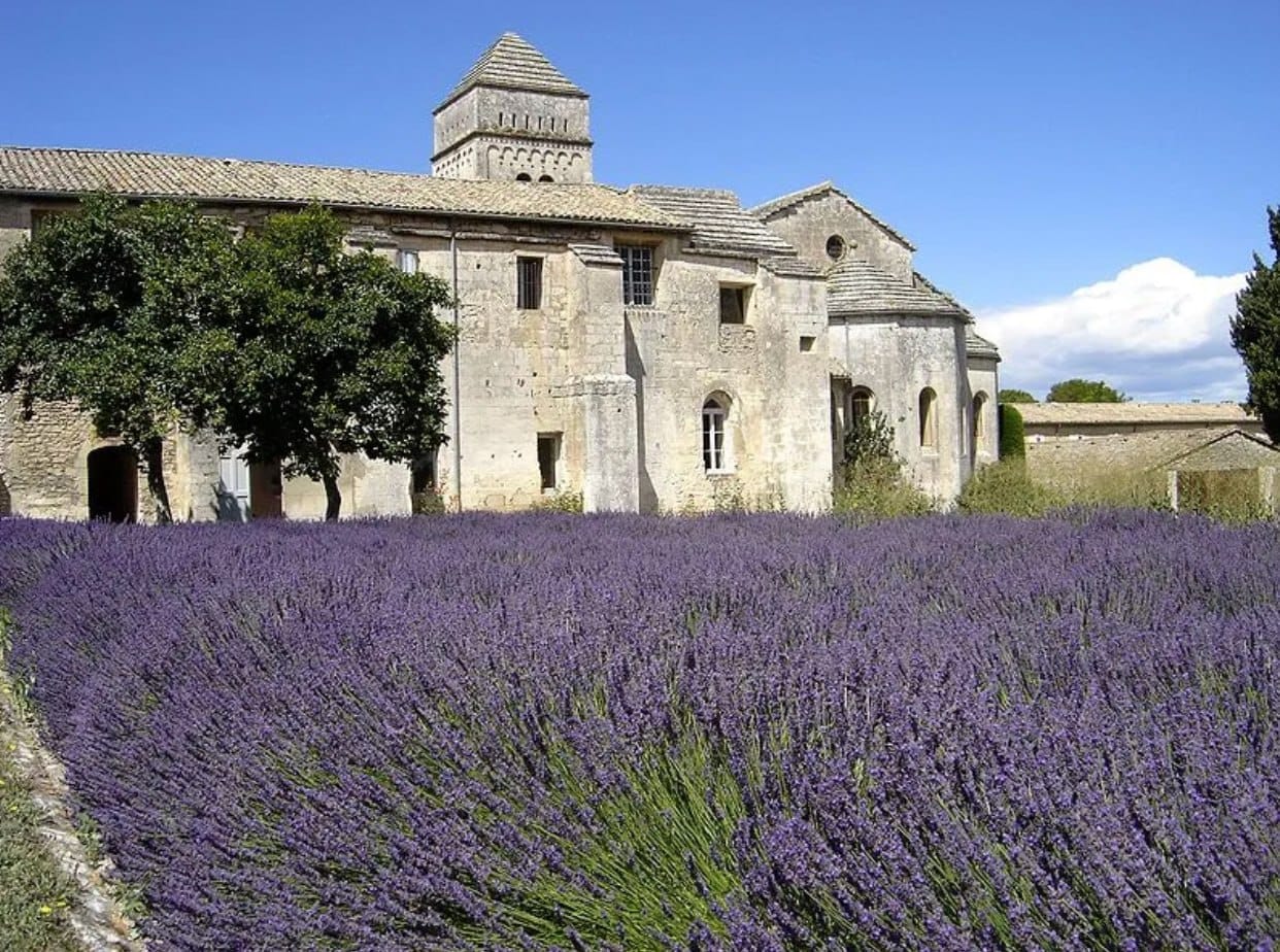 Saint-Paul-de-Mausole near Saint-Rémy-de-Provence: a former monastery turned psychiatric hospital