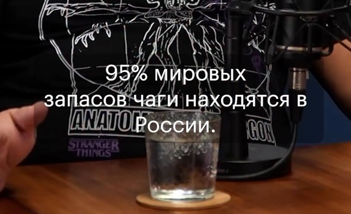 Should you feel blue, simply reflect that 95% of the world's chaga reserves lie in Russia