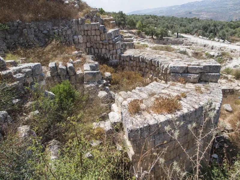 UNESCO Prepares to Expand the List of World Heritage in Danger