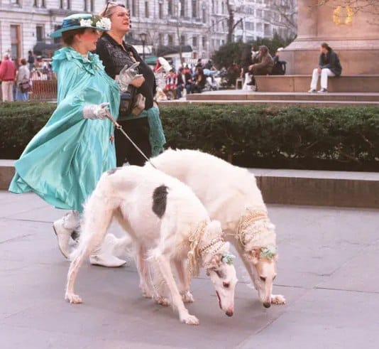 Жуырда NYTimes Билл Каннингемнің 1997 жылдан 2007 жылға дейін Sunday Styles бөлімінде жарық көрген Нью-Йорктегі Пасха шерулерінен түсірген суреттерінің топтамасын жариялады