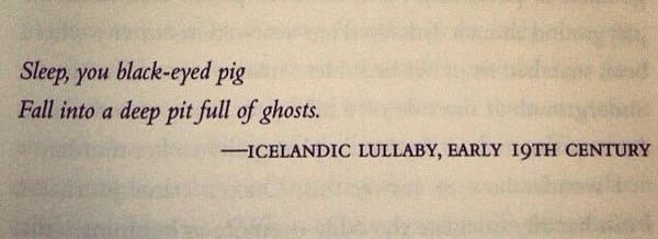 bonne nuit, 🐽