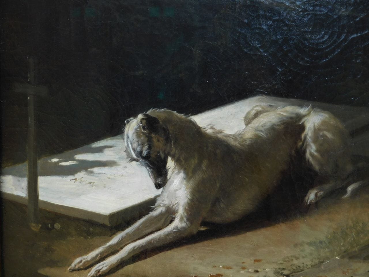 If loyalty, then canine