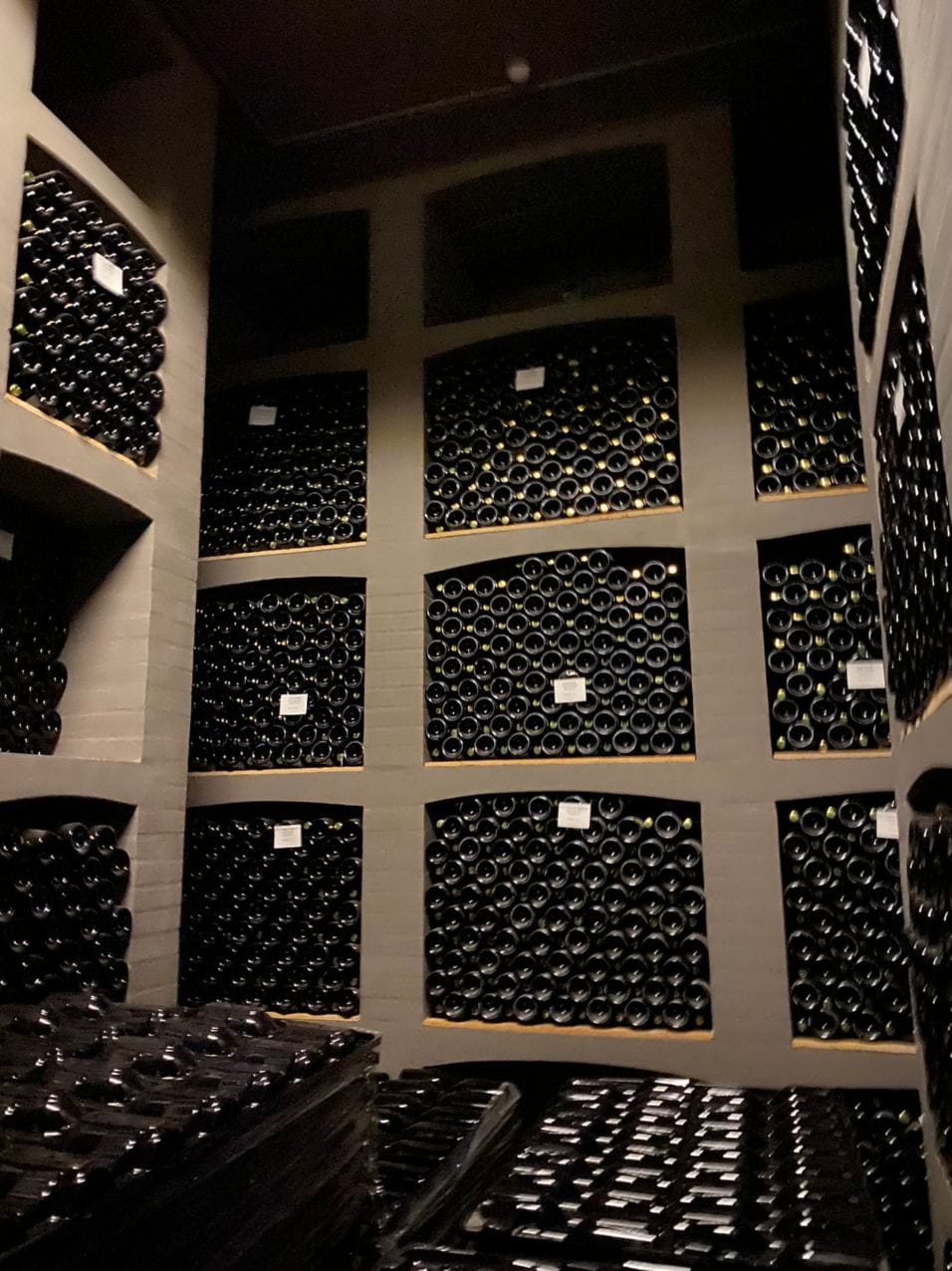 Un remerciement tout particulier pour m'avoir permis de descendre dans les caves à vin de Goloubitski, qui fournit aux tables russes plus d'un million de bouteilles de blanc, de rouge, de rosé et de mousseux par an