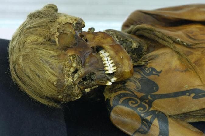 The mummy of the Ukok Princess with light hair, visible teeth and dark tattoos on the shoulder and arm.